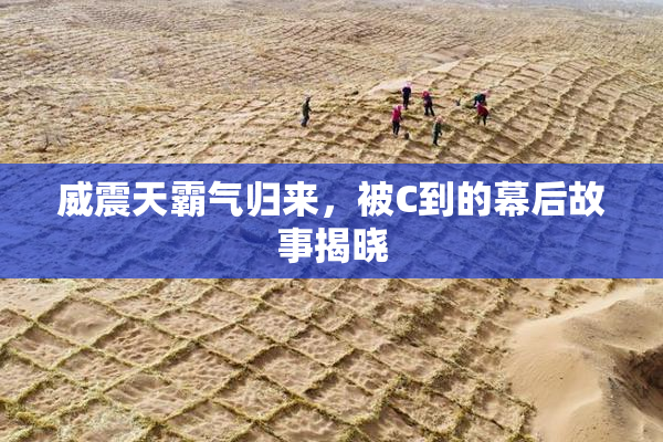威震天霸气归来，被C到的幕后故事揭晓