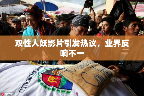 双性人妖影片引发热议，业界反响不一