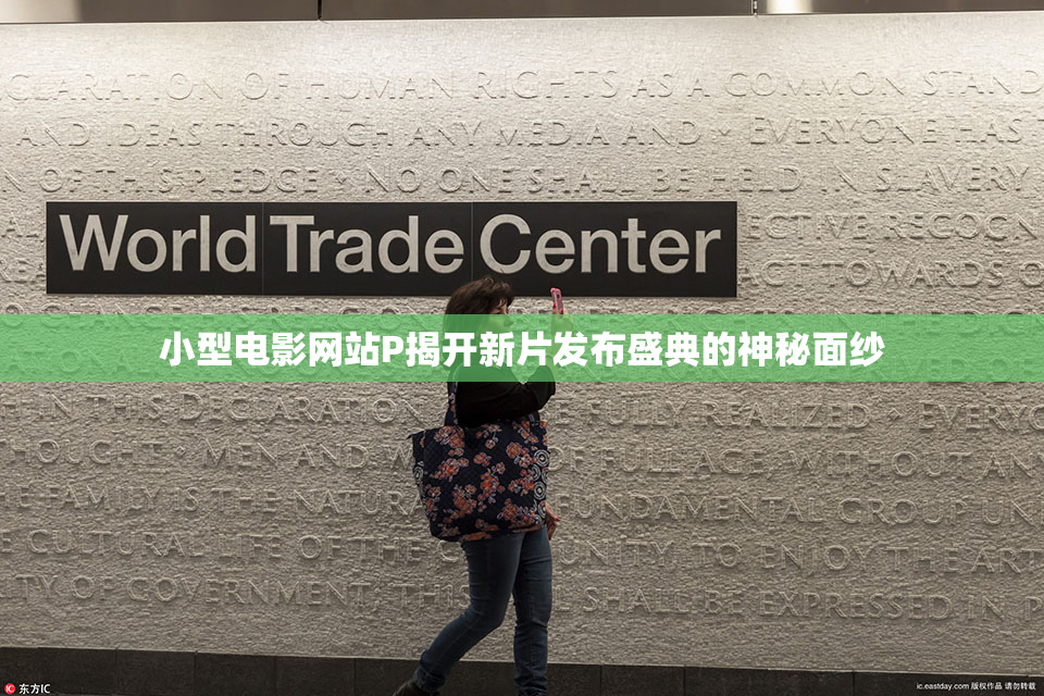 小型电影网站P揭开新片发布盛典的神秘面纱