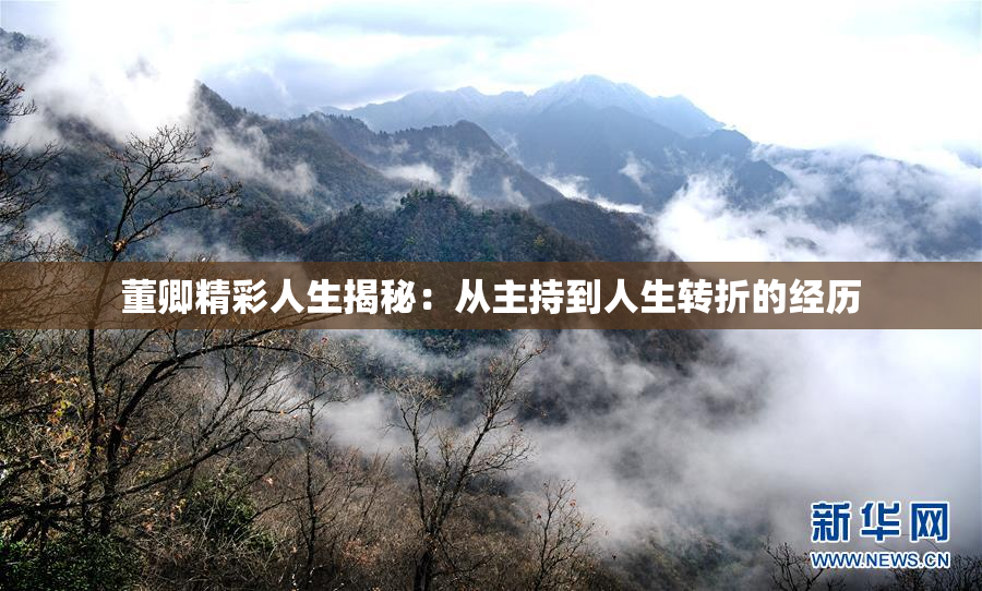 董卿精彩人生揭秘：从主持到人生转折的经历