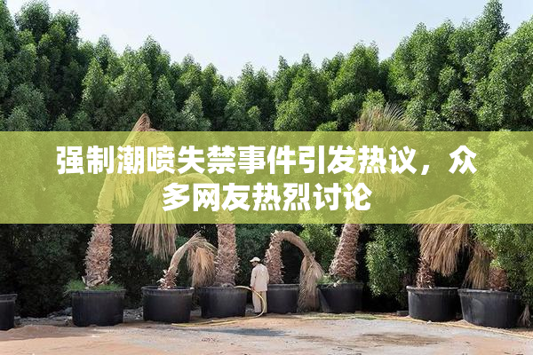 强制潮喷失禁事件引发热议，众多网友热烈讨论