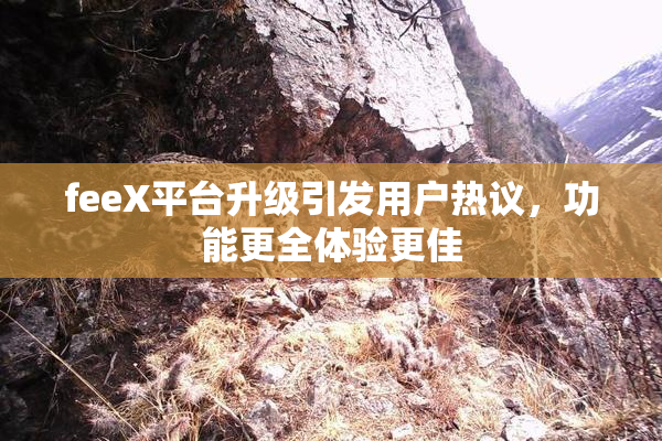 feeX平台升级引发用户热议，功能更全体验更佳