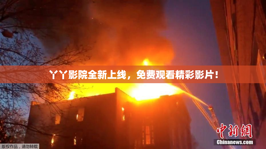 丫丫影院全新上线，免费观看精彩影片！