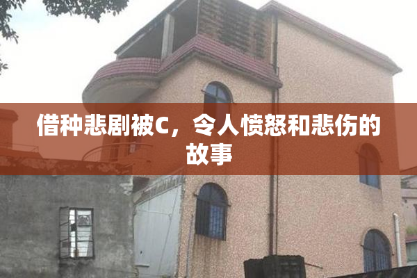 借种悲剧被C，令人愤怒和悲伤的故事
