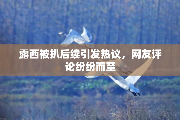 露西被扒后续引发热议，网友评论纷纷而至