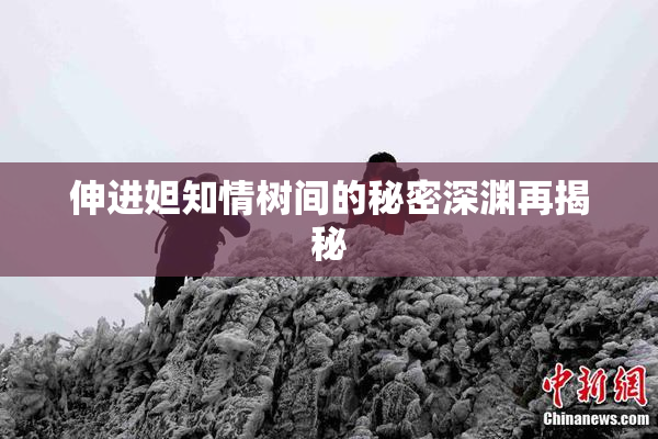 伸进妲知情树间的秘密深渊再揭秘