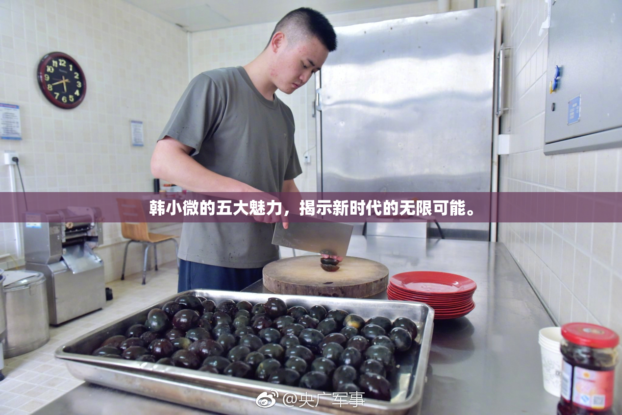 韩小微的五大魅力，揭示新时代的无限可能。