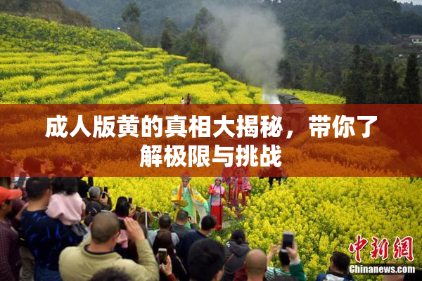 成人版黄的真相大揭秘，带你了解极限与挑战