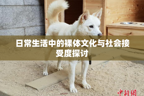 日常生活中的裸体文化与社会接受度探讨