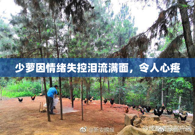 少萝因情绪失控泪流满面，令人心疼