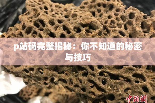 p站码完整揭秘：你不知道的秘密与技巧