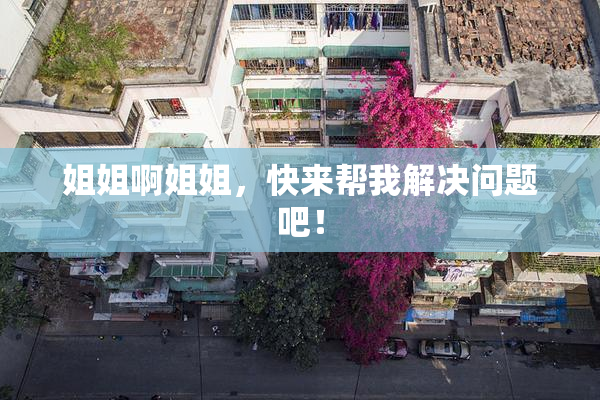 姐姐啊姐姐，快来帮我解决问题吧！