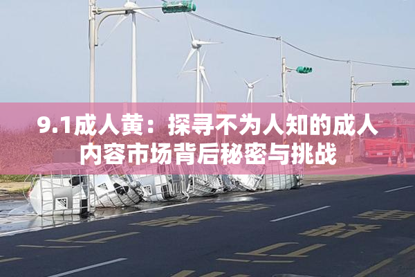 9.1成人黄：探寻不为人知的成人内容市场背后秘密与挑战