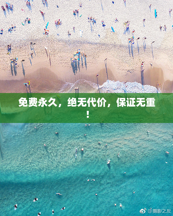 免费永久，绝无代价，保证无重！