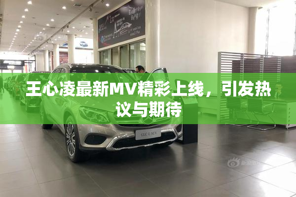 王心凌最新MV精彩上线，引发热议与期待