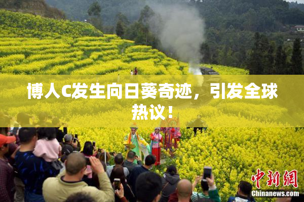 博人C发生向日葵奇迹，引发全球热议！