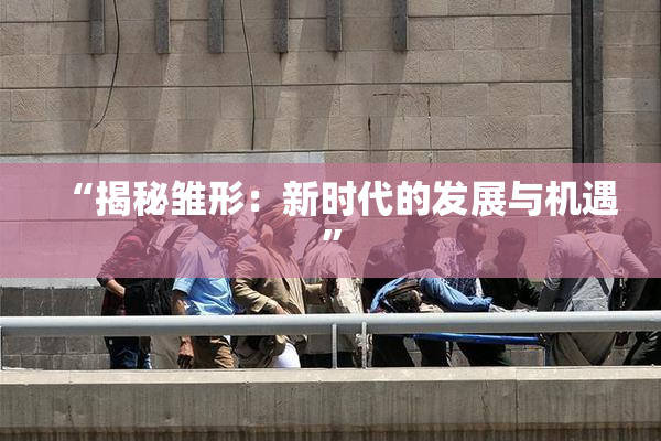 “揭秘雏形：新时代的发展与机遇”