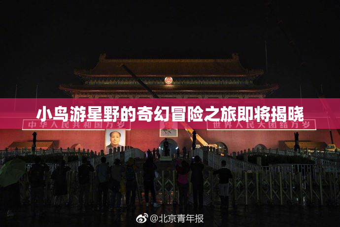 小鸟游星野的奇幻冒险之旅即将揭晓