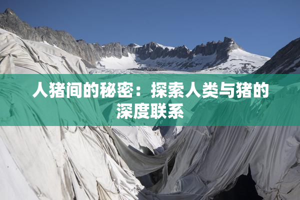 人猪间的秘密：探索人类与猪的深度联系