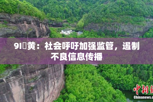 9I婬黄：社会呼吁加强监管，遏制不良信息传播