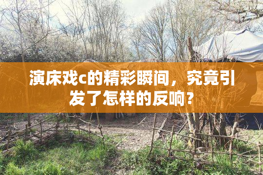 演床戏c的精彩瞬间，究竟引发了怎样的反响？