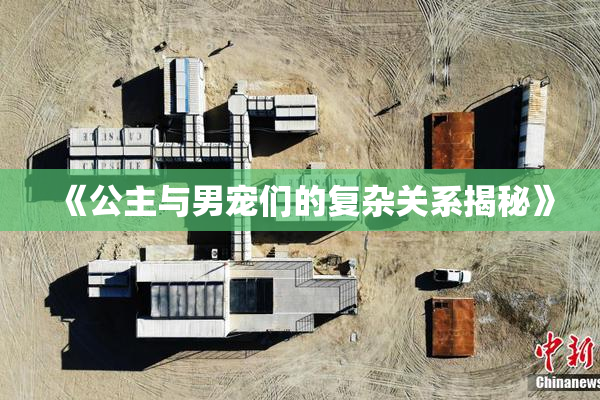《公主与男宠们的复杂关系揭秘》