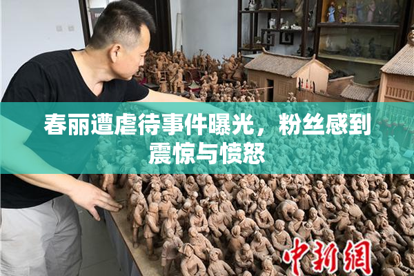 春丽遭虐待事件曝光，粉丝感到震惊与愤怒