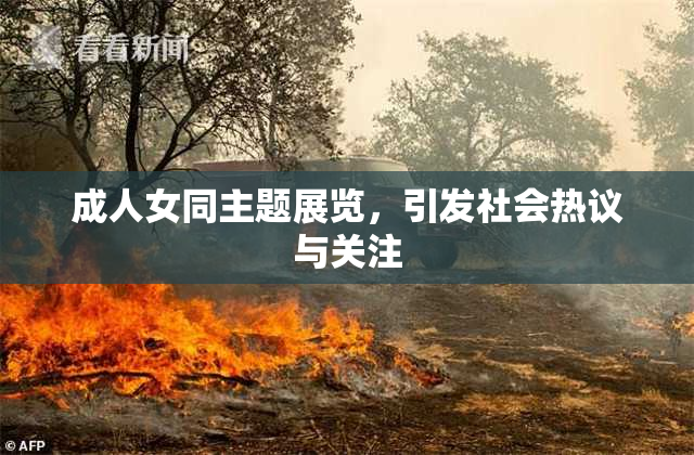 成人女同主题展览，引发社会热议与关注