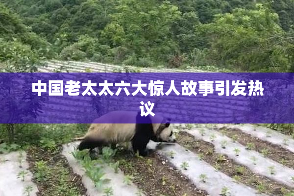 中国老太太六大惊人故事引发热议