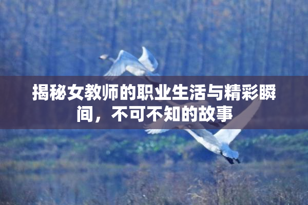 揭秘女教师的职业生活与精彩瞬间，不可不知的故事