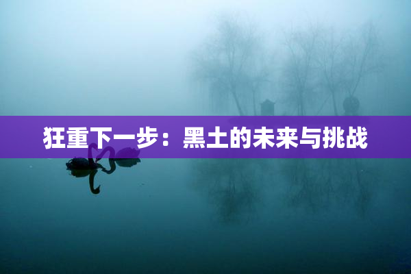 狂重下一步：黑土的未来与挑战