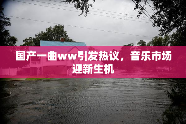 国产一曲ww引发热议，音乐市场迎新生机