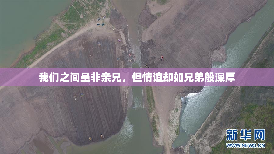 我们之间虽非亲兄，但情谊却如兄弟般深厚