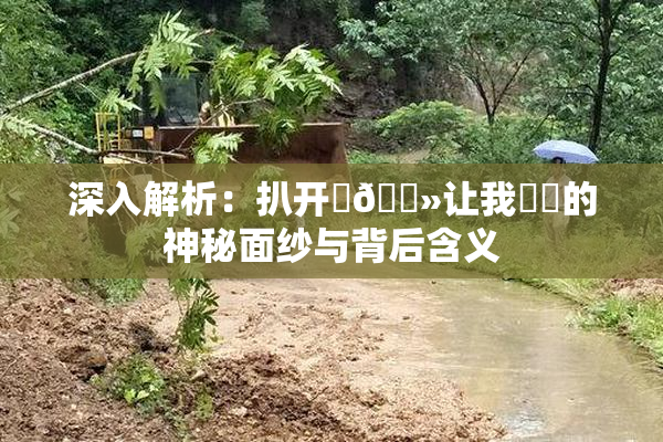 深入解析：扒开‌🐻让我❌‌的神秘面纱与背后含义