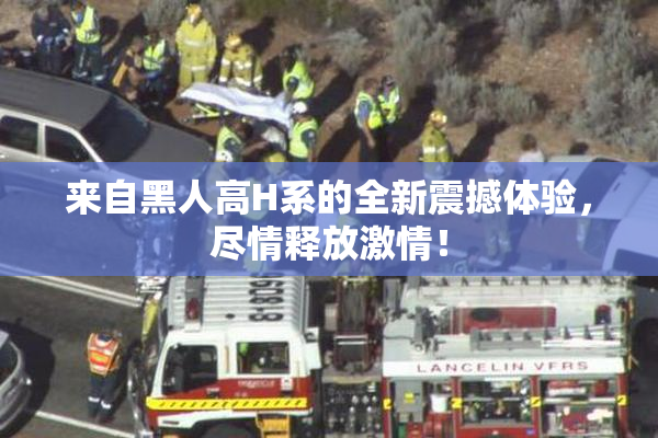 来自黑人高H系的全新震撼体验，尽情释放激情！