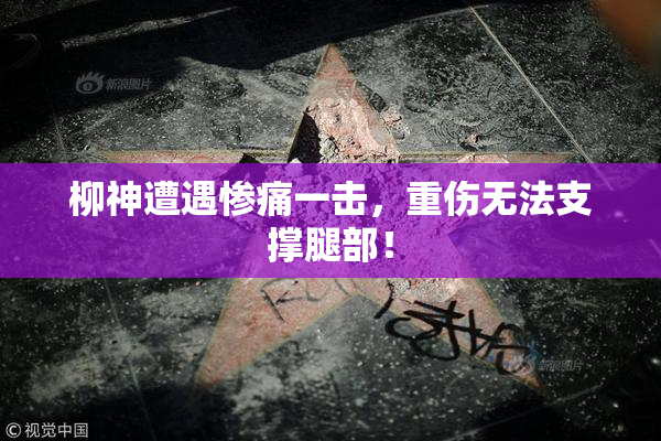 柳神遭遇惨痛一击，重伤无法支撑腿部！