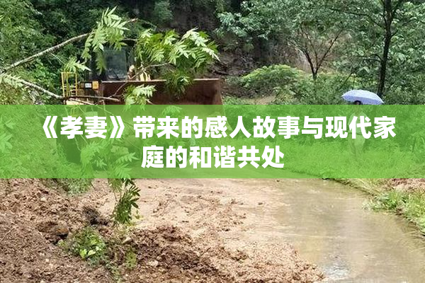 《孝妻》带来的感人故事与现代家庭的和谐共处
