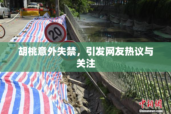 胡桃意外失禁，引发网友热议与关注