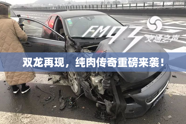 双龙再现，纯肉传奇重磅来袭！