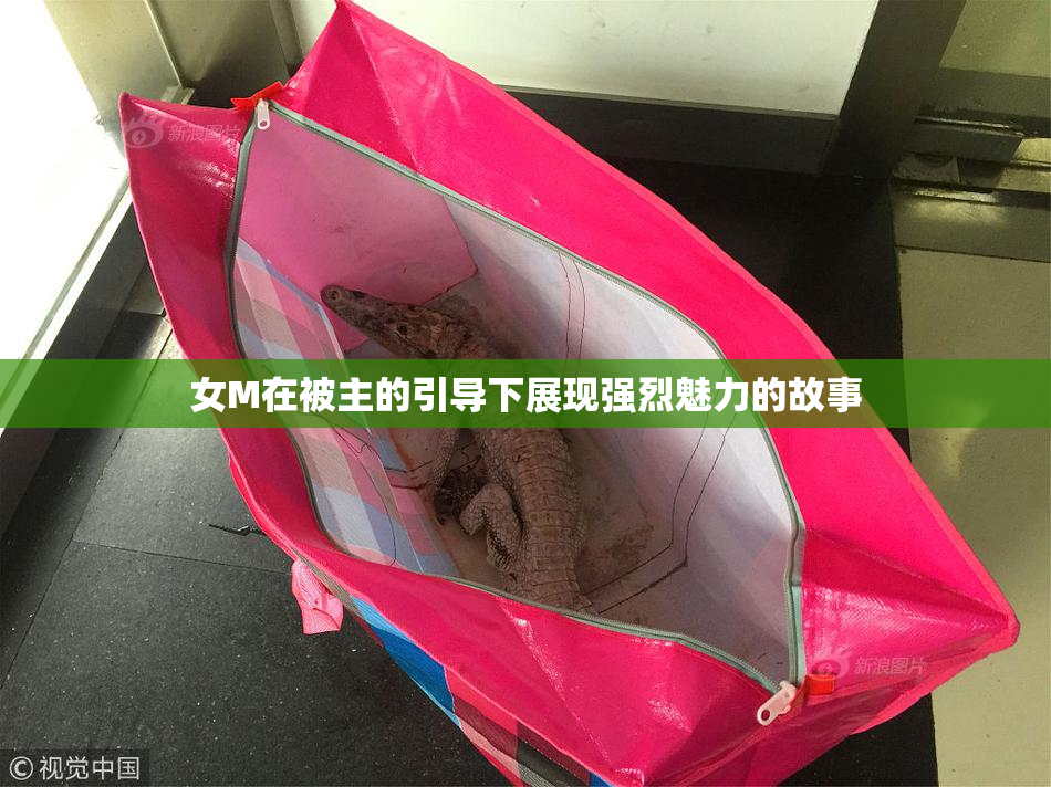 女M在被主的引导下展现强烈魅力的故事