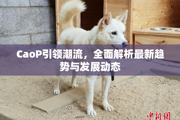 CaoP引领潮流，全面解析最新趋势与发展动态
