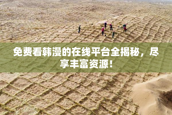 免费看韩漫的在线平台全揭秘，尽享丰富资源！