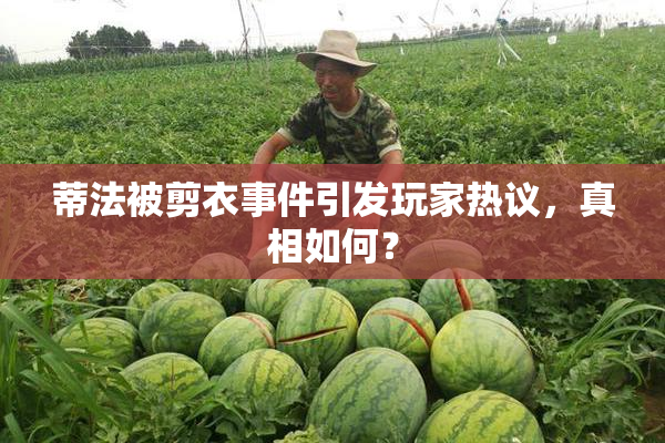蒂法被剪衣事件引发玩家热议，真相如何？