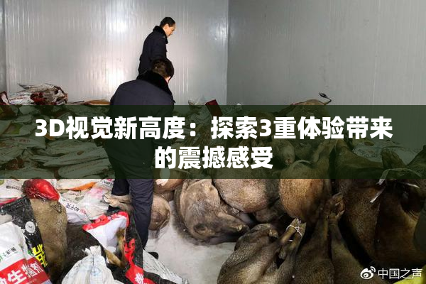 3D视觉新高度：探索3重体验带来的震撼感受