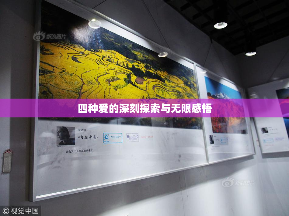 四种爱的深刻探索与无限感悟