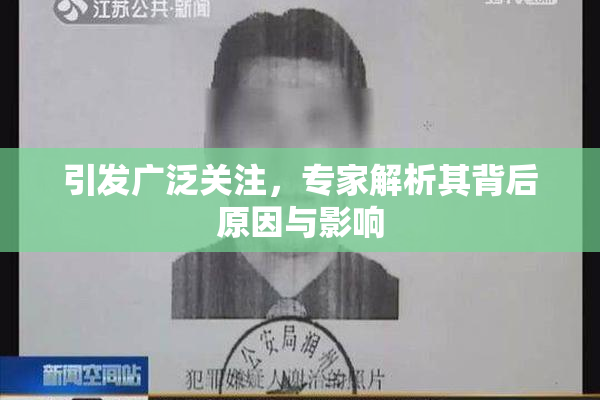 引发广泛关注，专家解析其背后原因与影响
