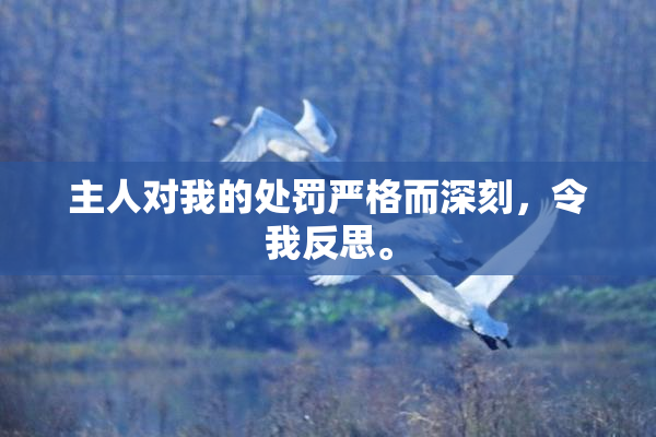 主人对我的处罚严格而深刻，令我反思。