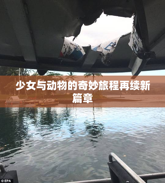 少女与动物的奇妙旅程再续新篇章