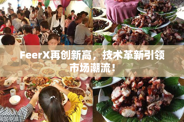 FeerX再创新高，技术革新引领市场潮流！
