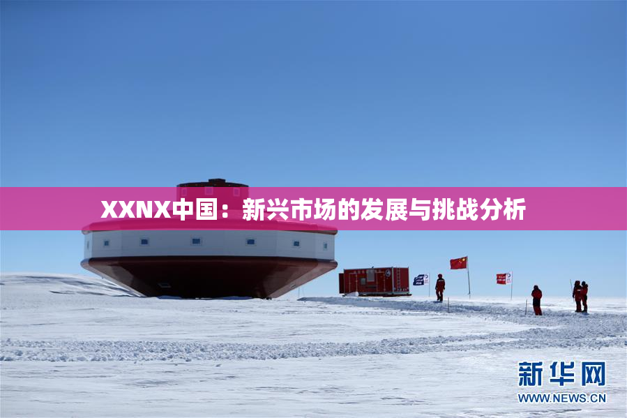 XXNX中国：新兴市场的发展与挑战分析